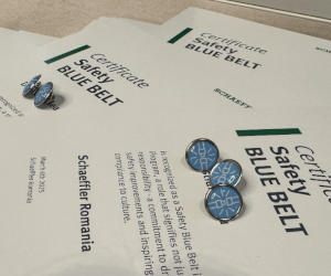 Programul Safety BELT de la Schaeffler România: Inovare în cultura siguranței la locul de muncă