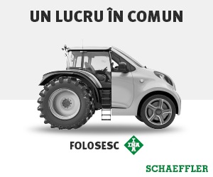 Un lucru în comun